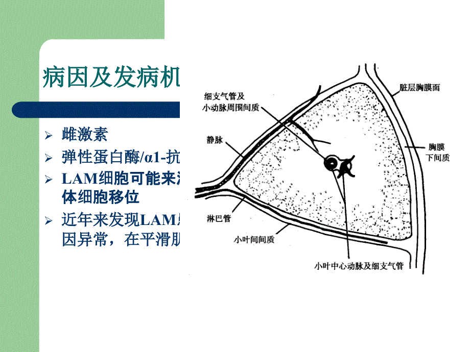 肺淋巴管肌瘤病_第3页