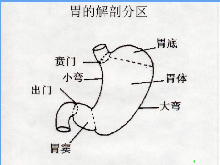 医学超级全胃十二指肠疾病_第3页