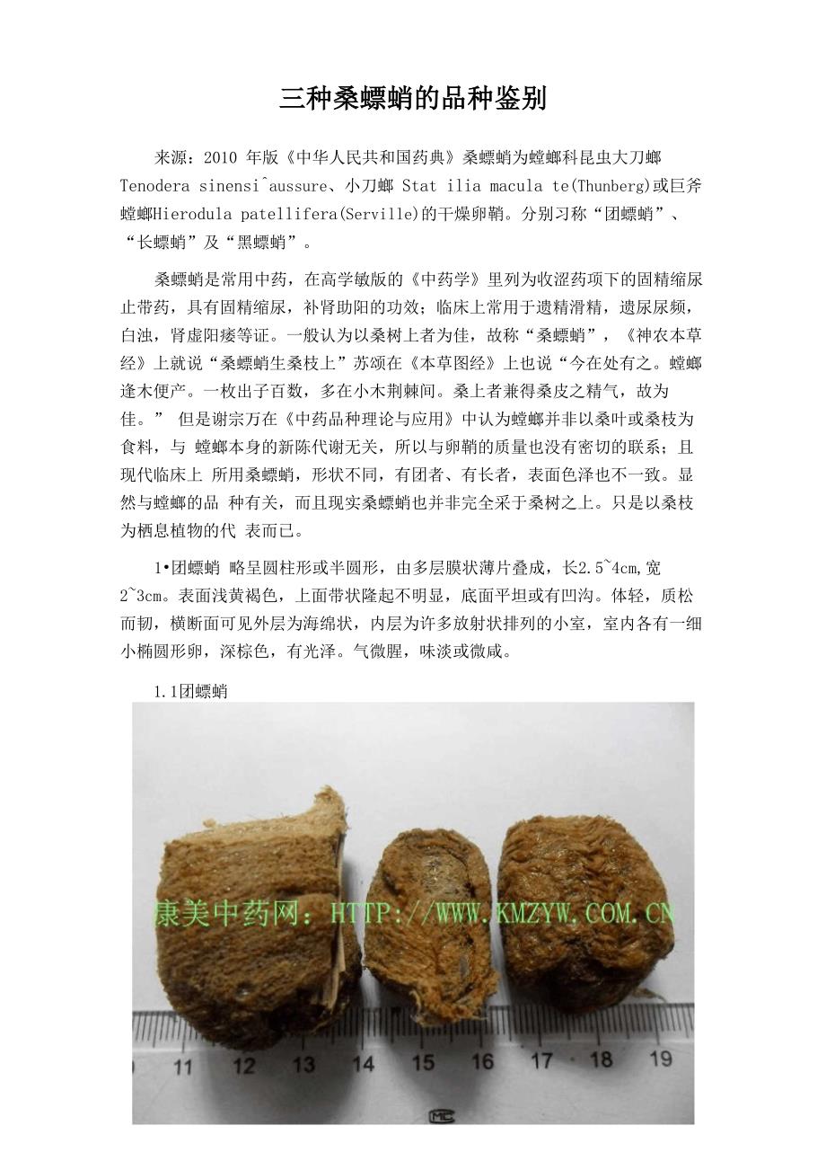 三种桑螵蛸的品种鉴别_第1页