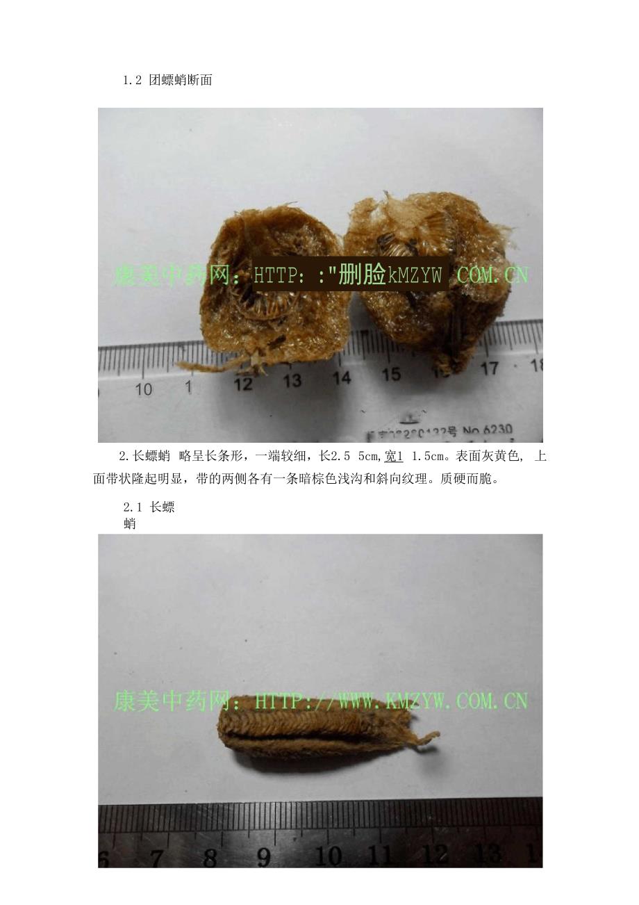 三种桑螵蛸的品种鉴别_第2页