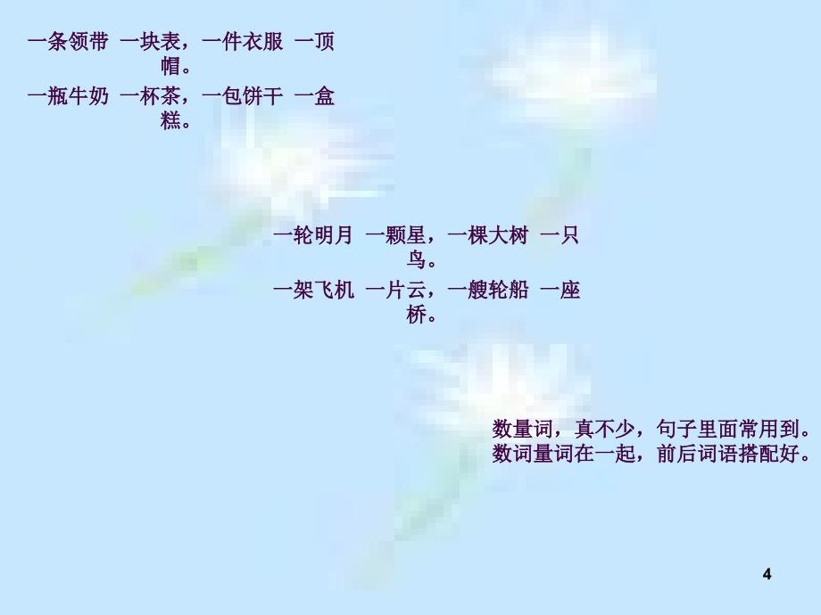 161.数量词ppt课件_第4页