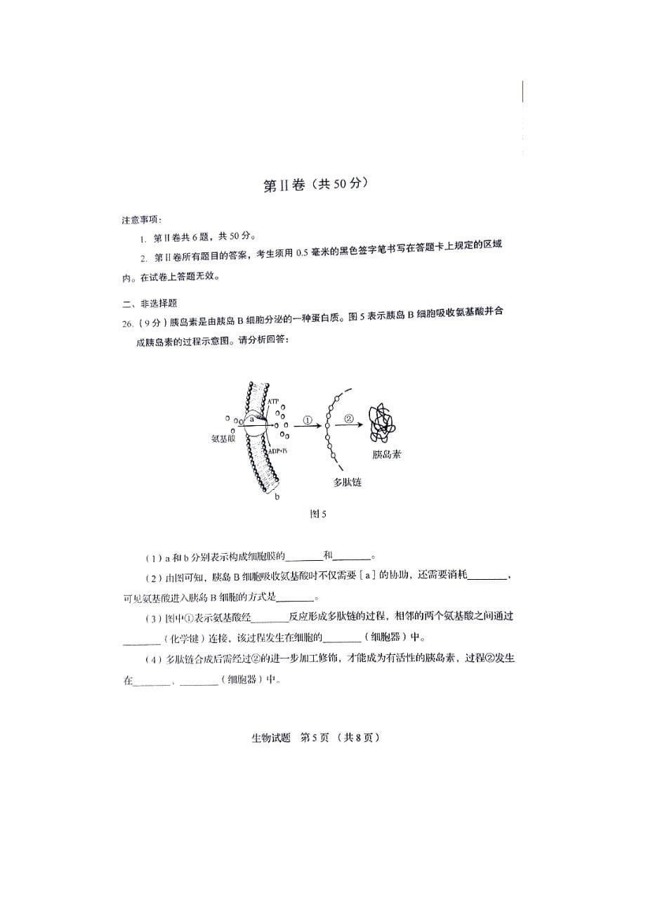 山东省高中生物会考题有答案)_第5页