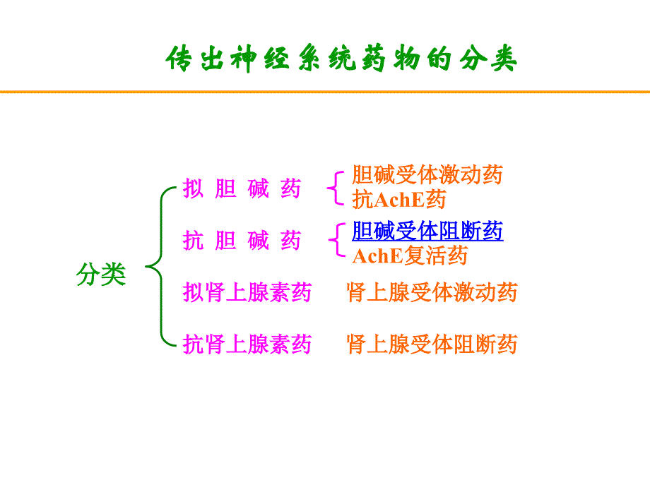 【若风制作】胆碱受体阻断药(五年本).解读_第1页