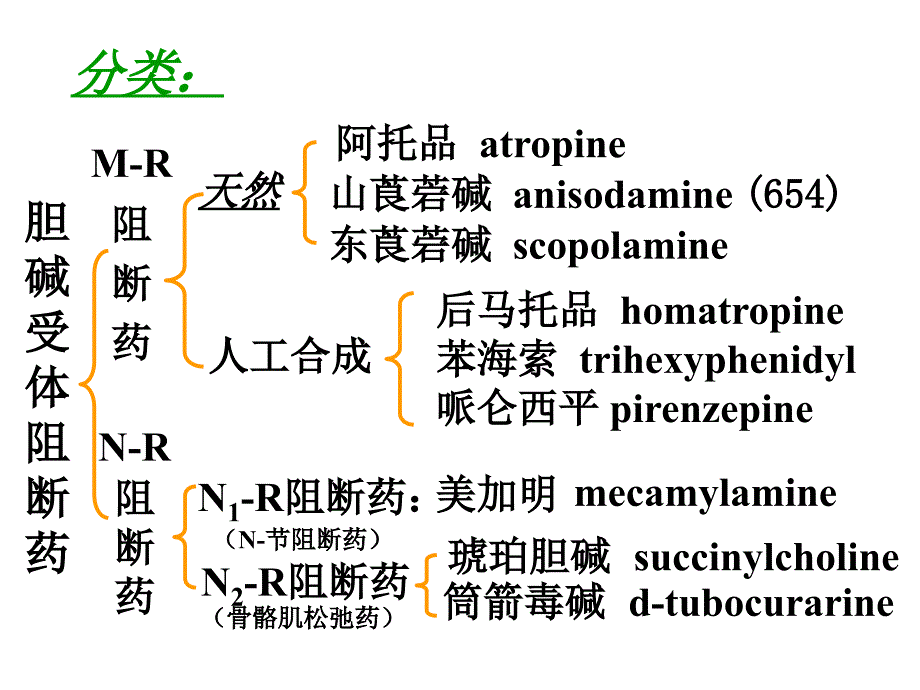 【若风制作】胆碱受体阻断药(五年本).解读_第2页