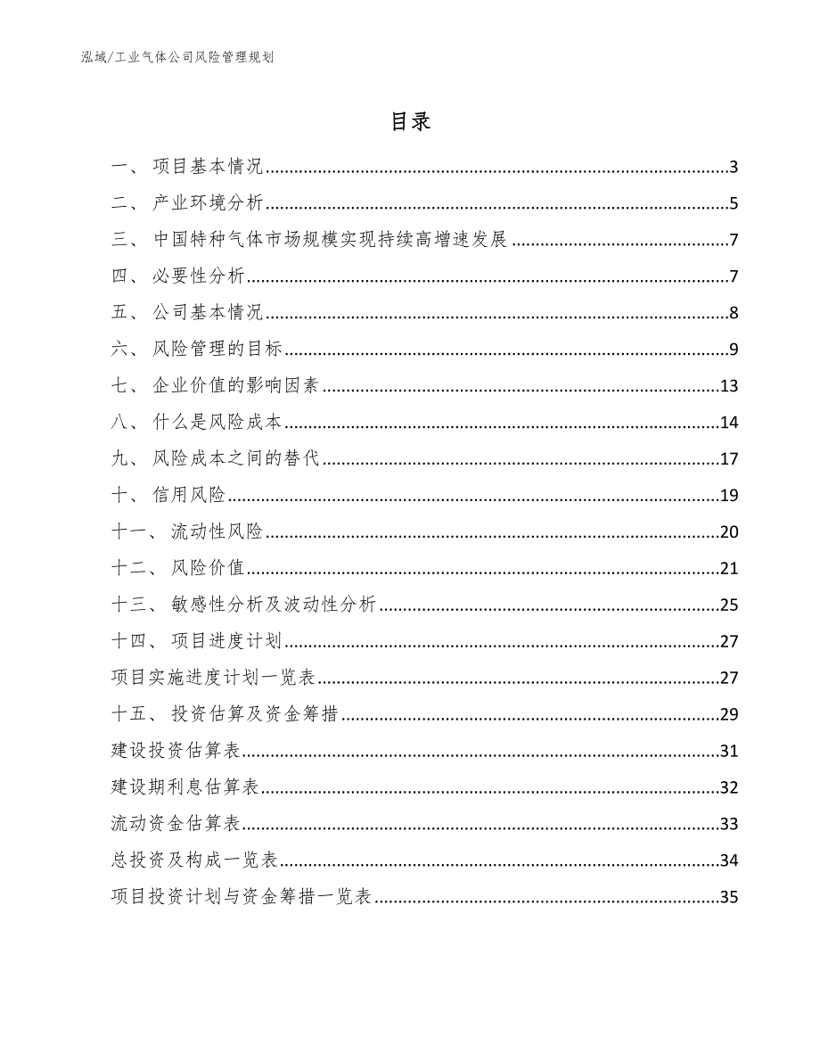 工业气体公司风险管理规划【参考】_第2页