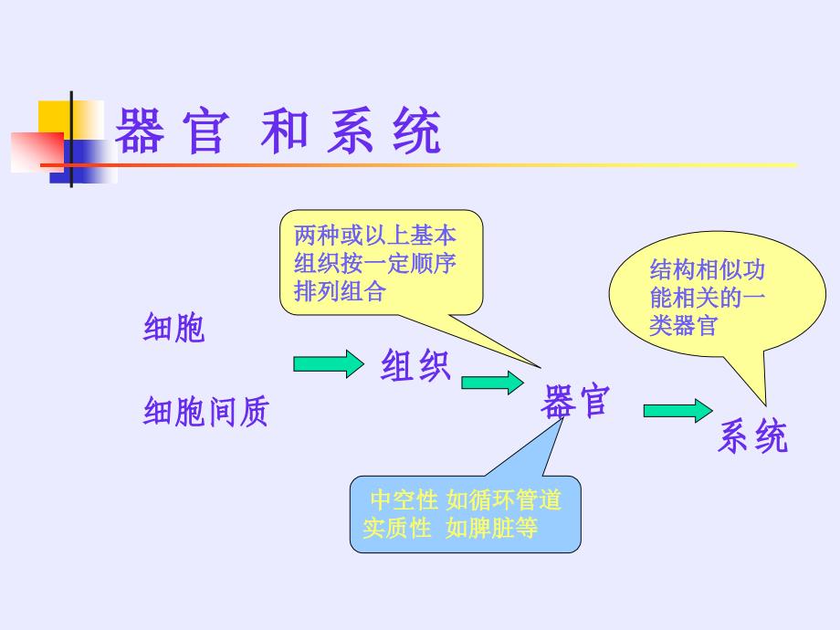 循环系统讲课文档资料_第1页