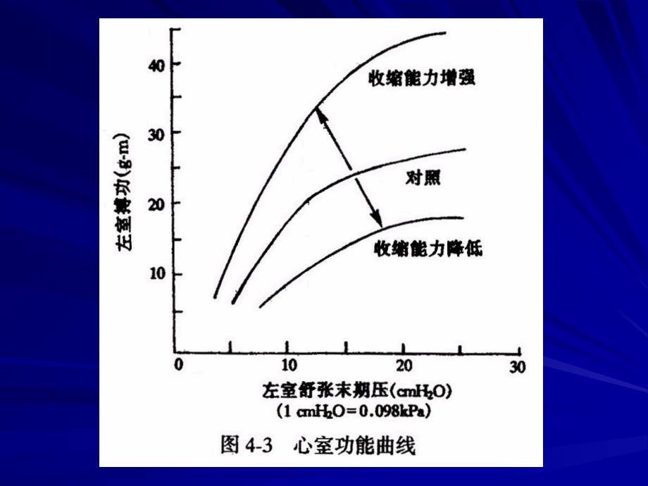 三心音的产生_第4页