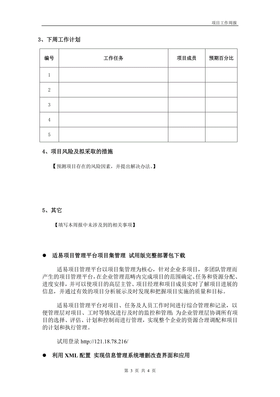 项目工作周报模板.doc_第3页