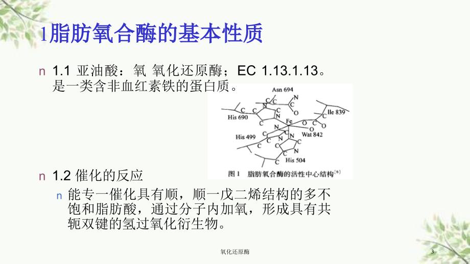 氧化还原酶课件_第3页