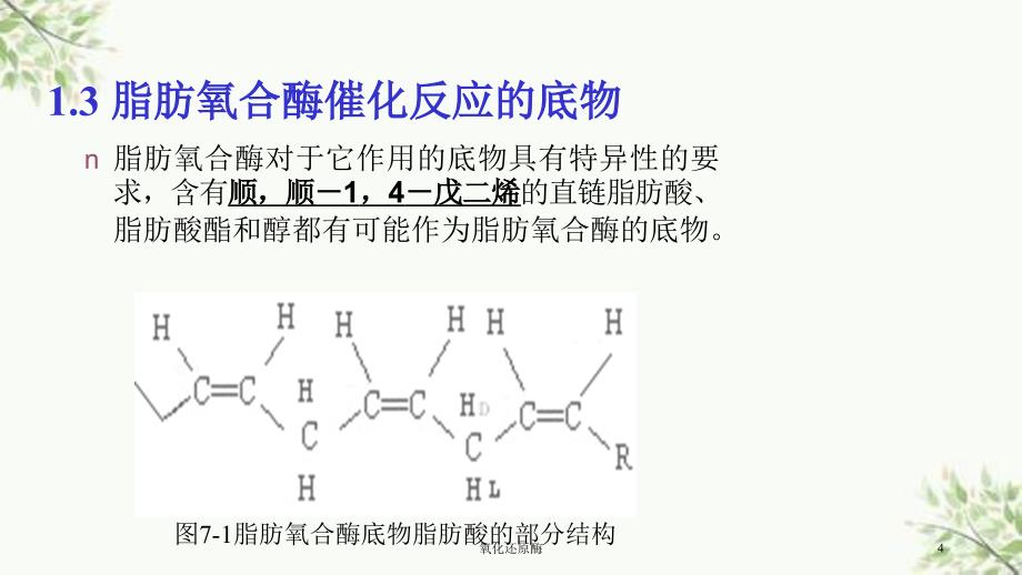 氧化还原酶课件_第4页