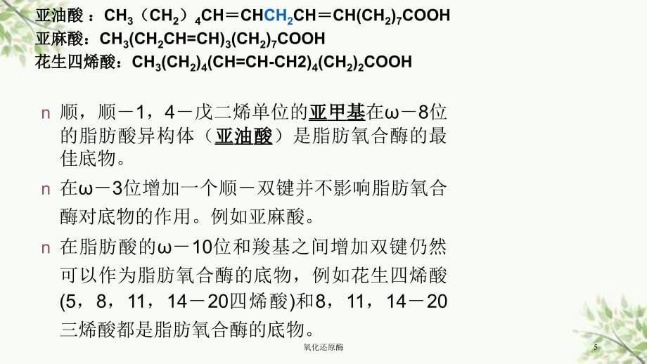 氧化还原酶课件_第5页