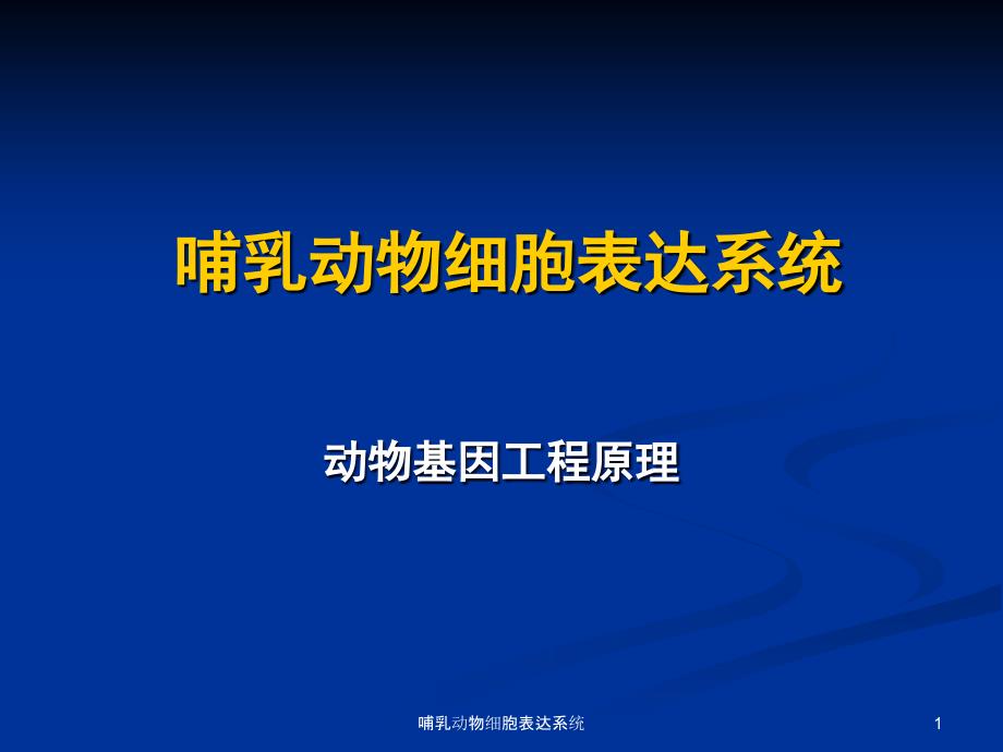 哺乳动物细胞表达系统课件_第1页