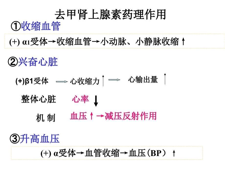 激动药激动药指导_第5页