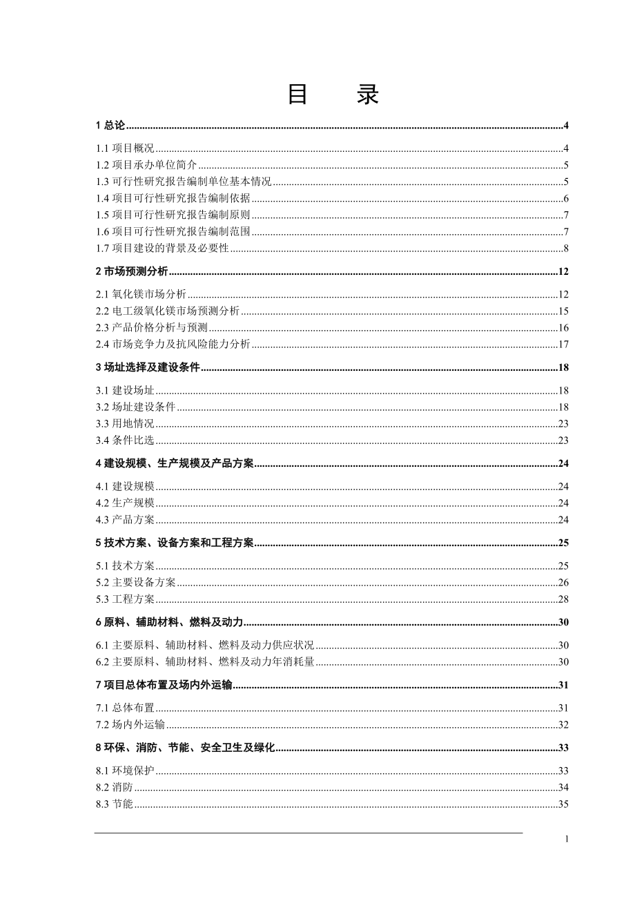 高温电工级氧化镁项目可行性研究报告_第1页