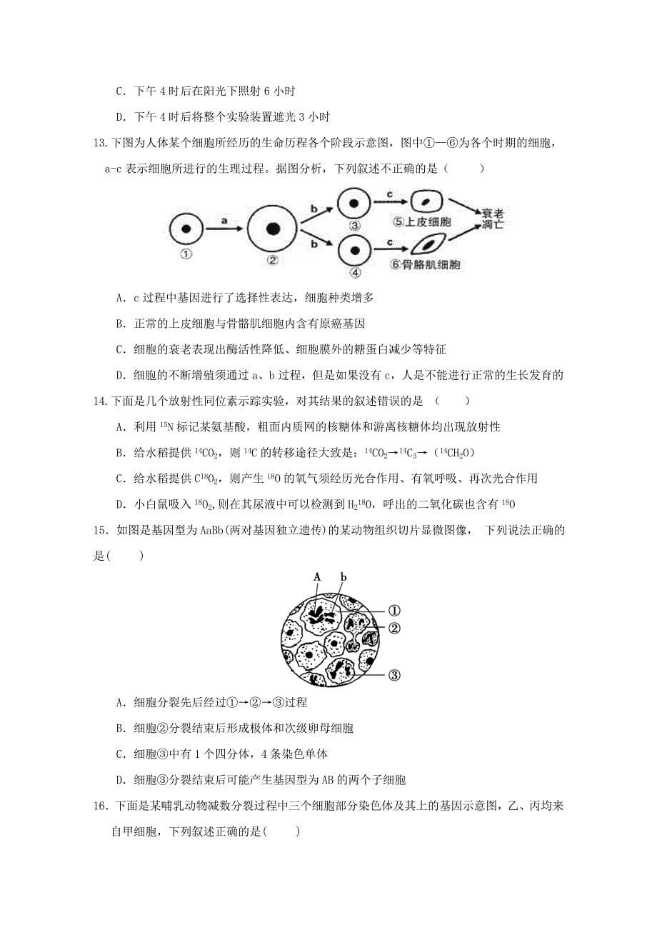 江西暑新县第一中学高二上学期期末考试生物试题0531044_第5页
