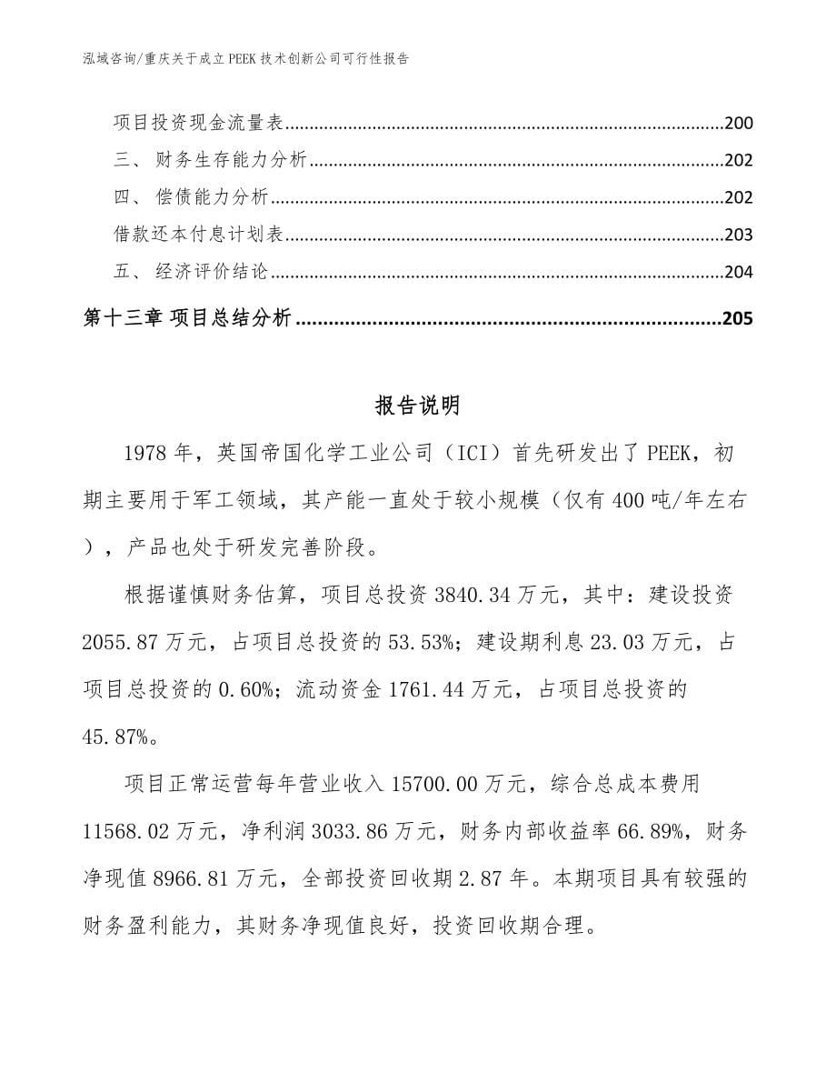 重庆关于成立PEEK技术创新公司可行性报告（参考模板）_第5页