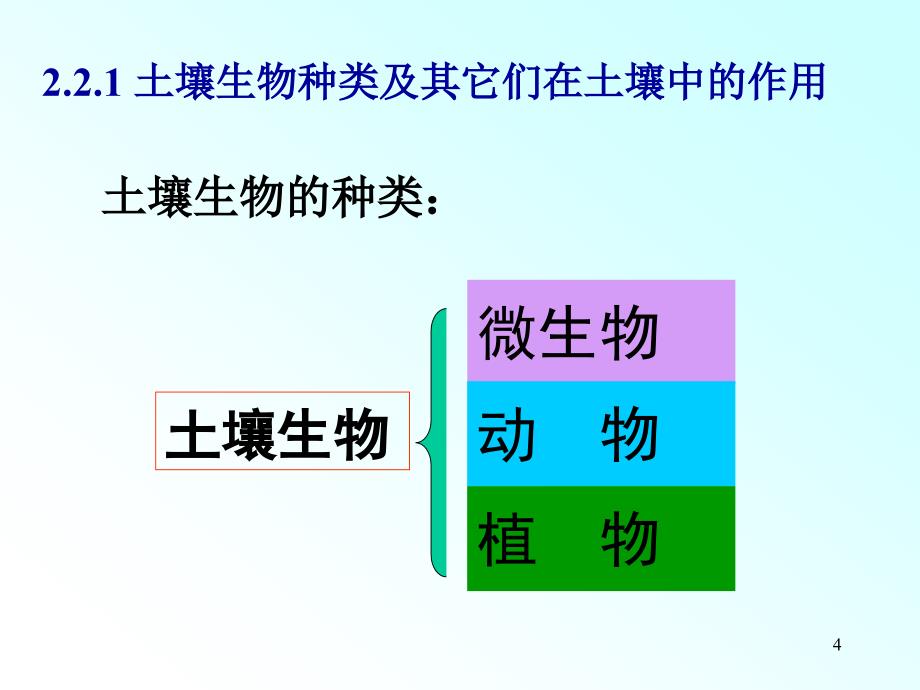 22土壤生物与土壤有机质_第4页