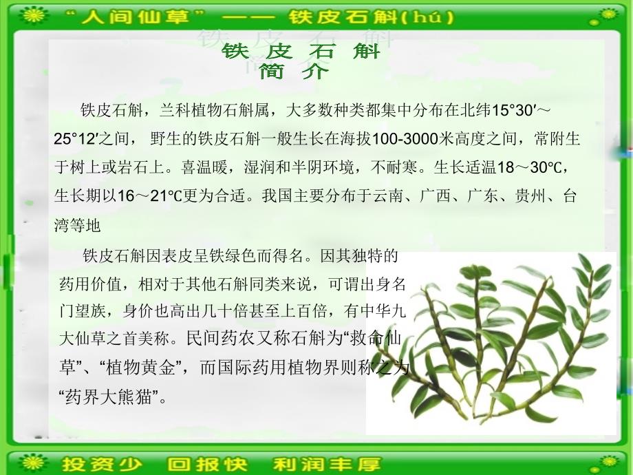 铁皮石斛温室大棚种植技术_第2页