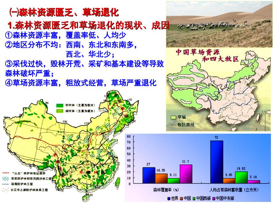 地理主要的生态环境问题_第4页