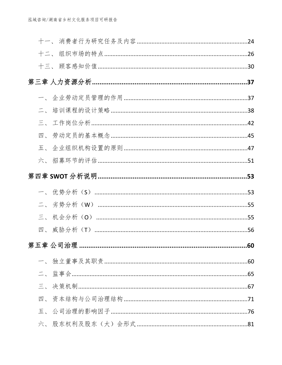 湖南省乡村文化服务项目可研报告范文模板_第2页