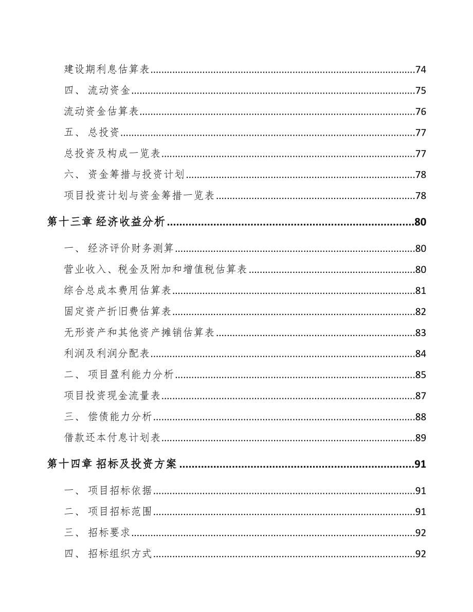 河池数码配套产品项目可行性研究报告_第5页