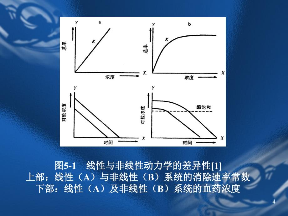 非线性药物代谢动力学_第4页