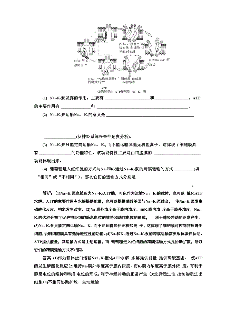 专题1 细胞的物质组成、结构和物质运输 微课微练 破解物质运输中的四类迷茫点_第3页