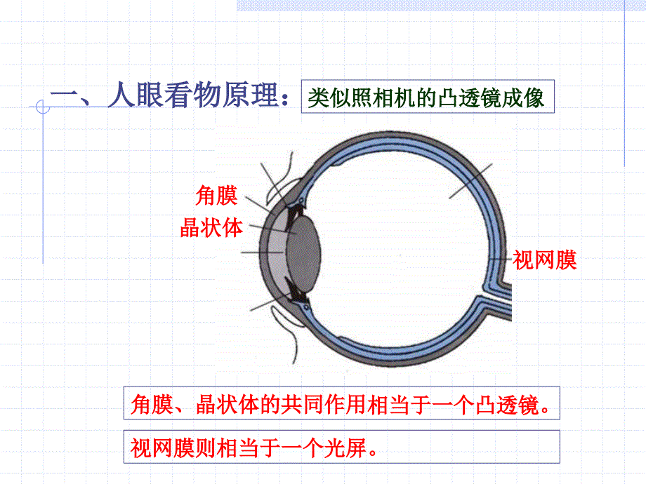 3眼睛和眼镜定_第2页