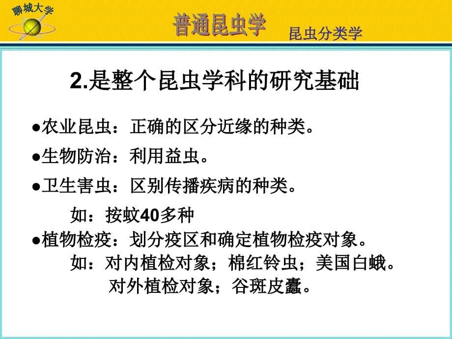 第三篇昆虫分类学课件_第5页