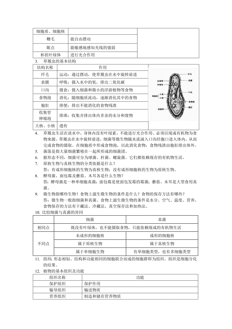 第2章-观察生物_第4页