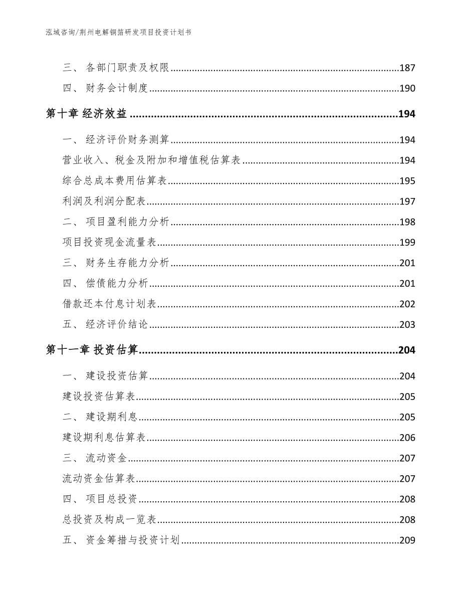 荆州电解铜箔研发项目投资计划书_第5页