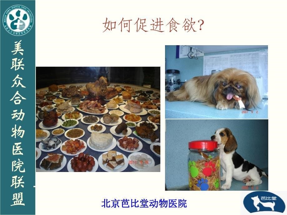 犬猫消化系统用药_第5页