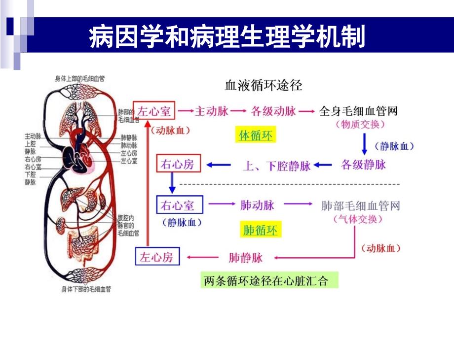 术前合并二尖瓣狭窄患者非心脏手术麻醉课件_第4页