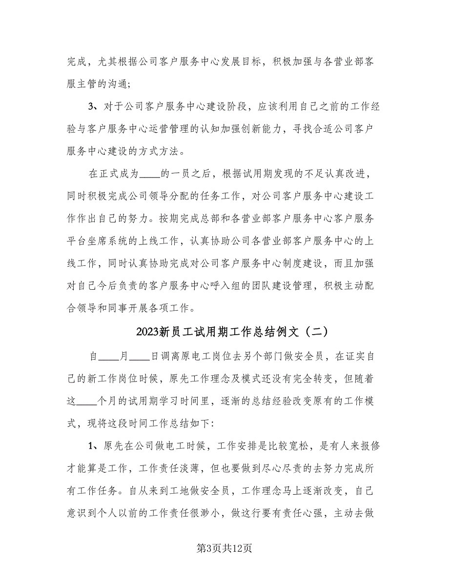 2023新员工试用期工作总结例文（6篇）_第3页