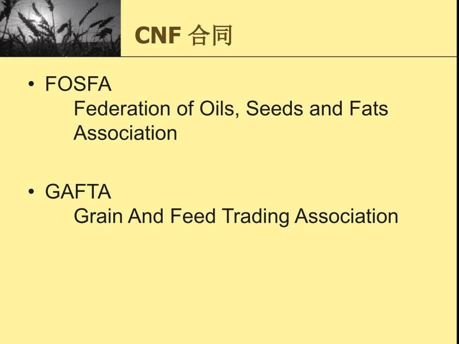 大豆进口易实务部分选_第5页