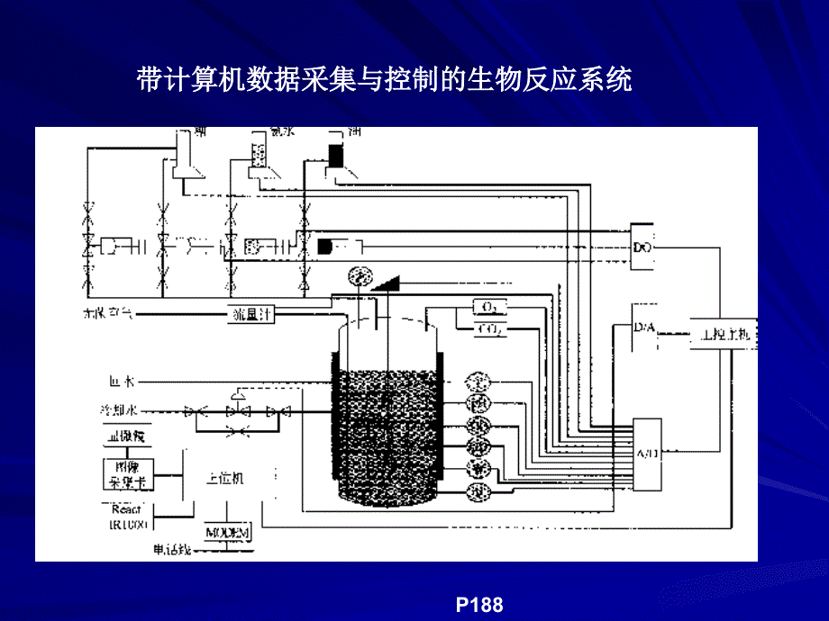 第六章发酵过程参数测定_第3页