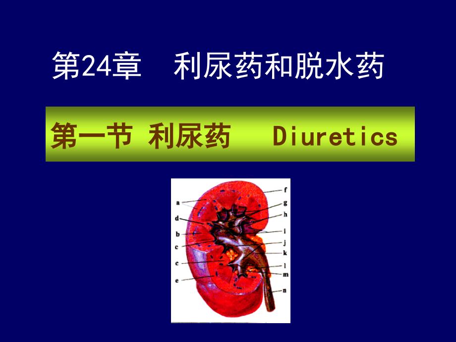 药理学 第2版24利尿药_第1页