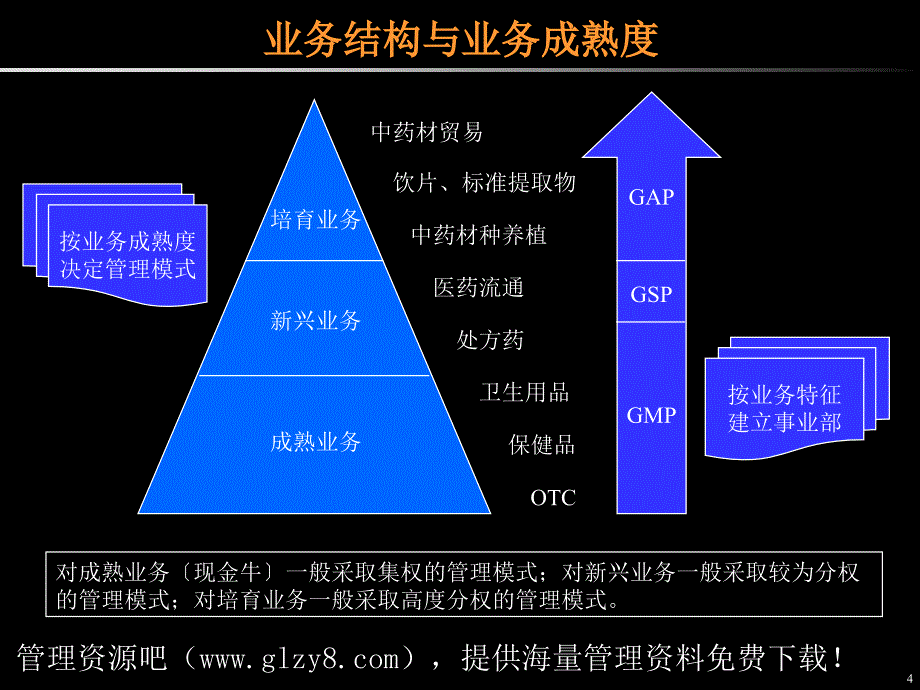 某某集团管理模式及组织架构_第4页