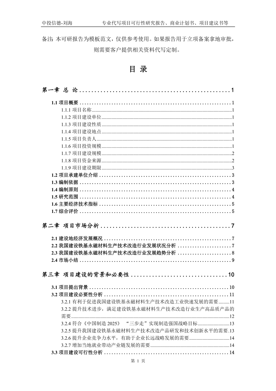 建设铁基永磁材料生产技术改造项目可行性研究报告模板备案审批_第2页