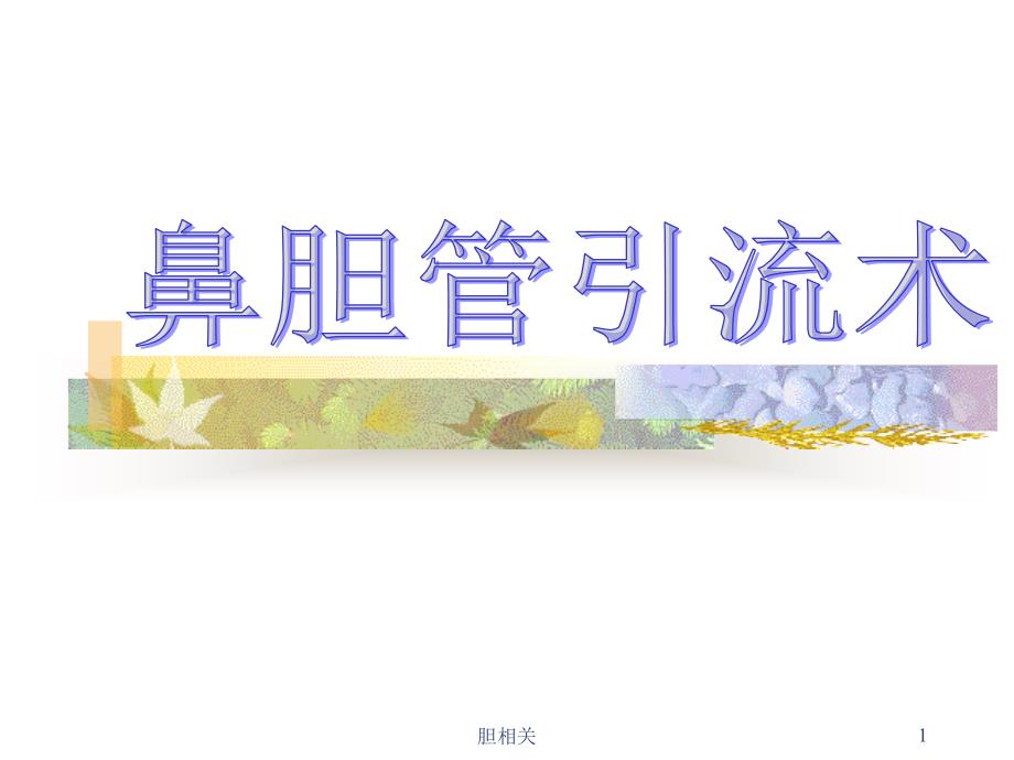 鼻胆管引流术护理【肝胆知识】_第1页