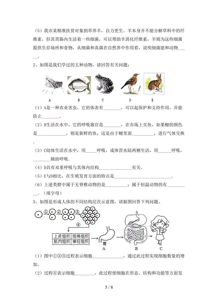 2023年苏教版九年级生物上册期末模拟考试(及参考答案).doc_第5页