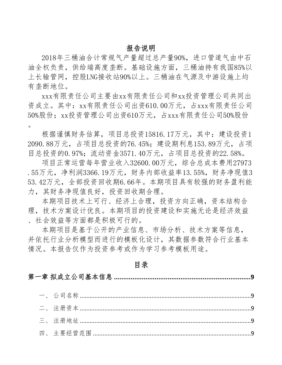 北京关于成立燃气仪表公司可行性研究报告(DOC 81页)_第2页