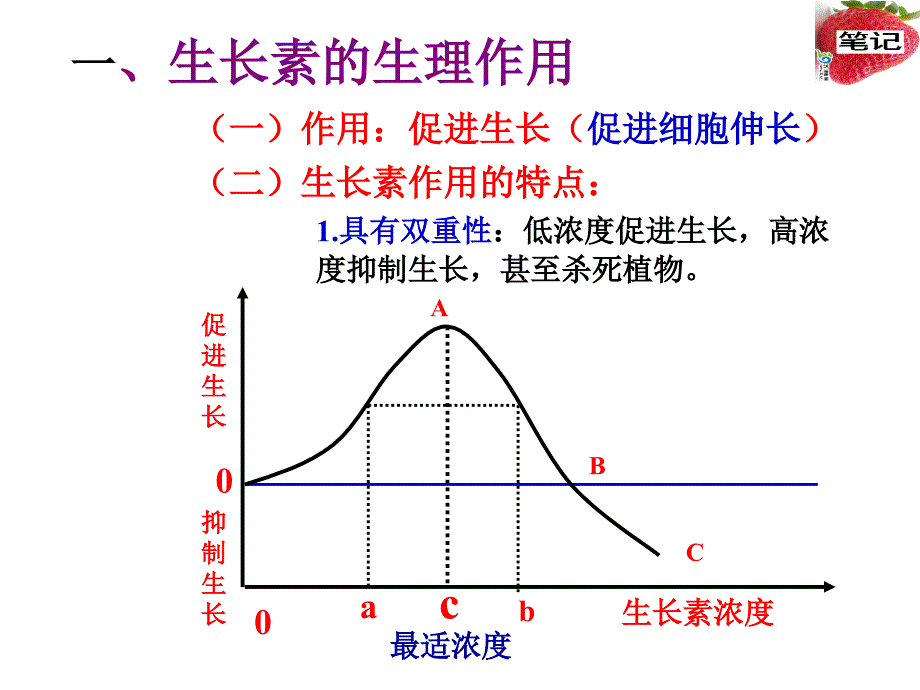 优_第二节_生长素的作用_第2页