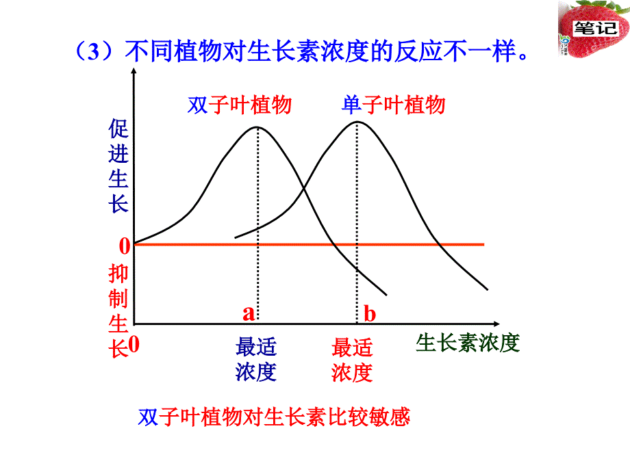 优_第二节_生长素的作用_第4页