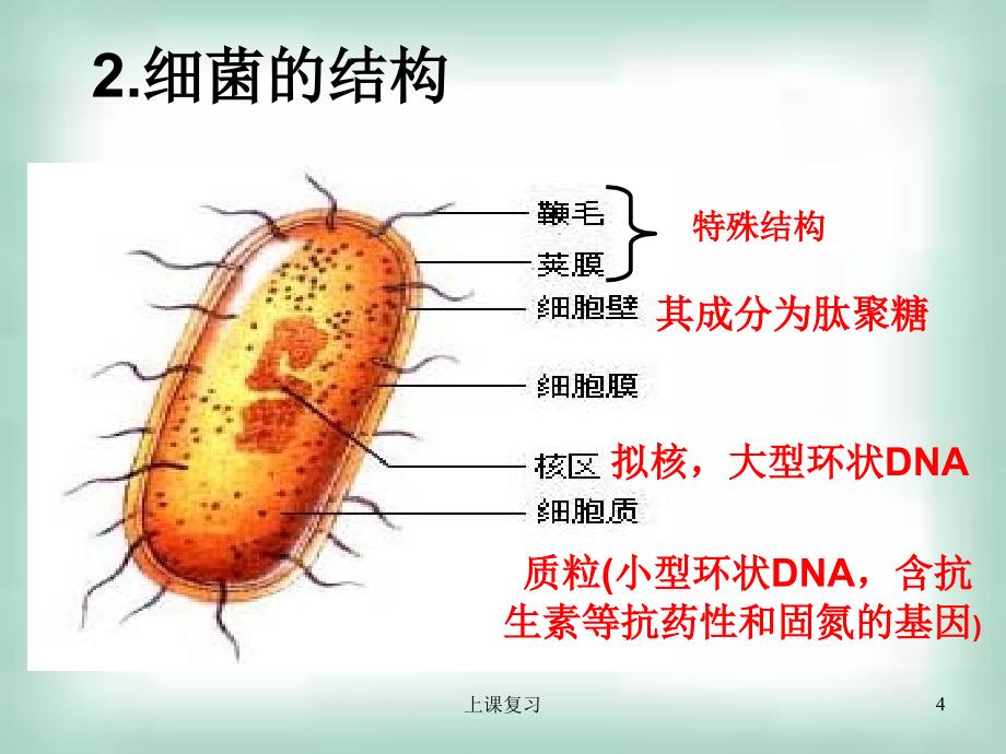 公开课讲课用微生物的实验室培养#课堂内容_第4页