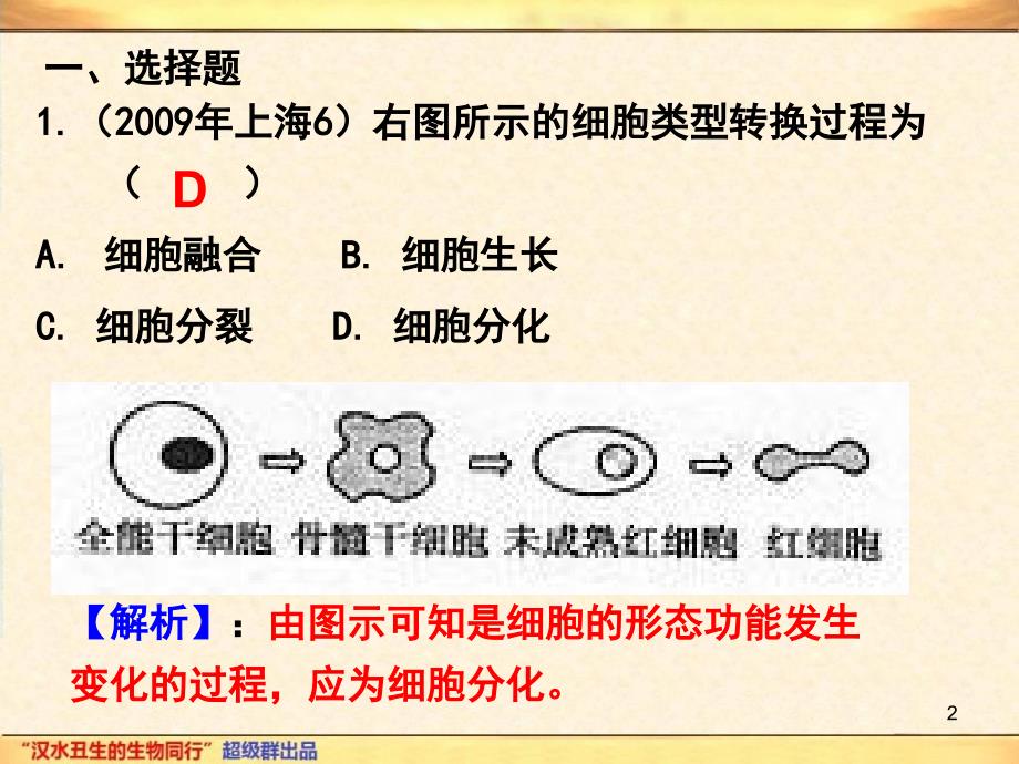 专题10细胞分化癌变衰老及凋亡参考PPT_第2页