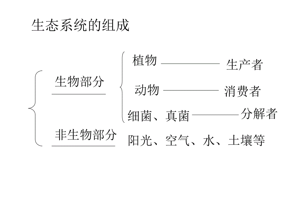 细菌和真菌的作用_第4页