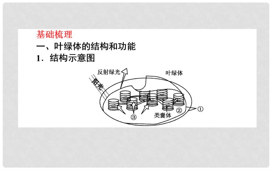 高考生物一轮复习 5.3 能量之源——光与光合作用课件 新人教版必修1_第3页