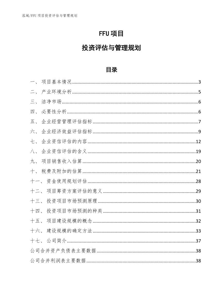 FFU项目投资评估与管理规划（参考）_第1页