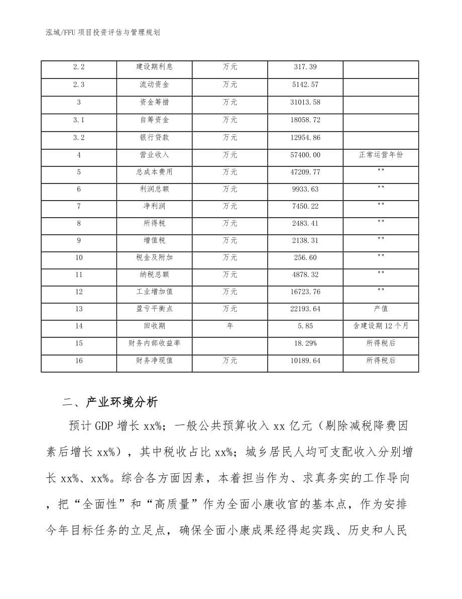 FFU项目投资评估与管理规划（参考）_第5页